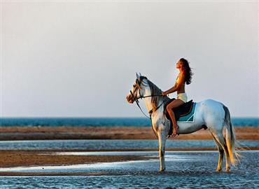 Sphinx Travel Services